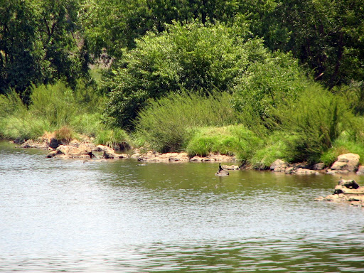 Kabani river