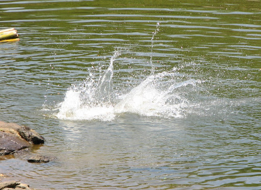 A scene in river