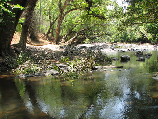 Kabani river