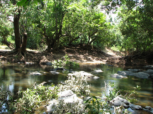 Kabani river