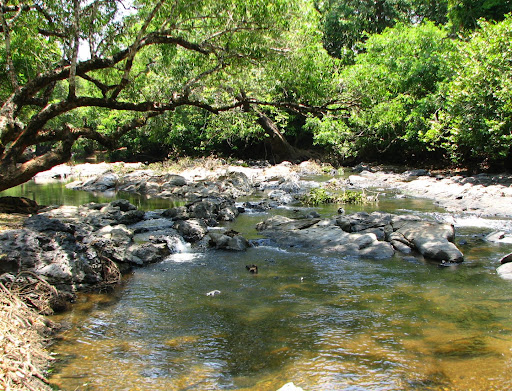 Kabani river