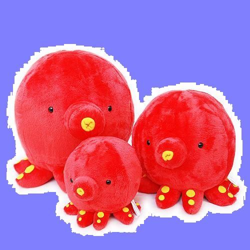 章魚's blog