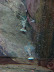 Langostas del Acuario Langostas del Acuario