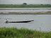 Pescando en la ciénaga Pescando en la ciénaga