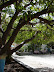 La plaza Almirante Padilla La plaza Almirante Padilla