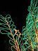 Vitoreando estrellas