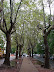 Caminando por La Plata Caminando por La Plata