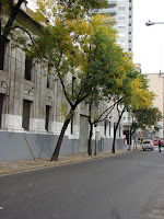 Otoño en Abasto