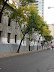 Otoño en Abasto Otoño en Abasto