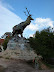 El Rosedal