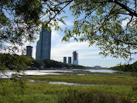 Puerto Madero visto desde Costanera