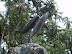 Estatuas de Yubartas en Gorgona