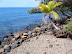 Playas en gorgona