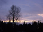 2002-0130-170750-00665.JPG