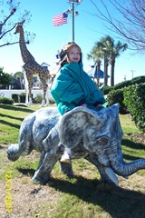 DCP_0233
