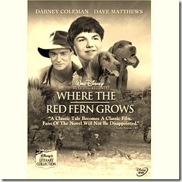 coon hunting dogs