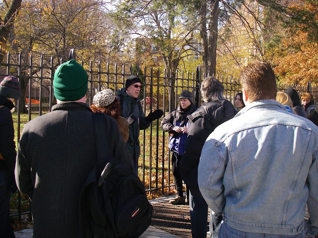 December 2007 Brooklyn Wild Parrot Safari Captured in Fabulous Photo-Essay