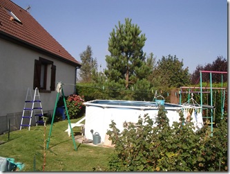 IMGP7186