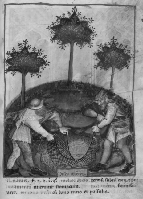 Men working in a fish pond (14th century)