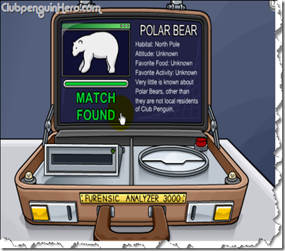 polar bear in furensic analyzer