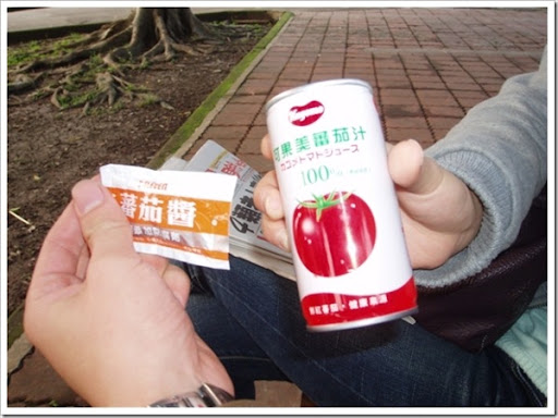 返家十萬里4