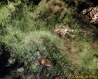 IMAGE_00032.jpg