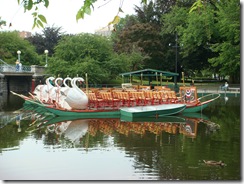 Swan Boats at Boston Public Garden