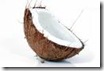 coconut