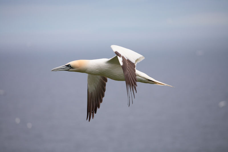 IMAGE: http://lh6.google.com/daniel.alb/RuRAETM0aZI/AAAAAAAABJk/tPHboSSVnPQ/s800/IMG_2514_800.jpg