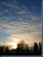 DSCN0365