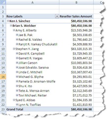Excel 2007 PivotTable with No Dimension Security