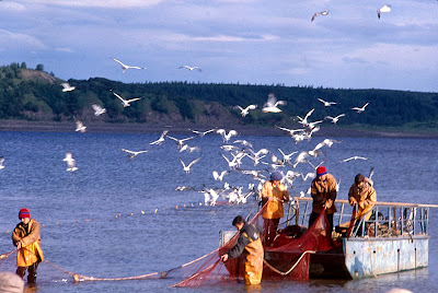Fiŝkaptado