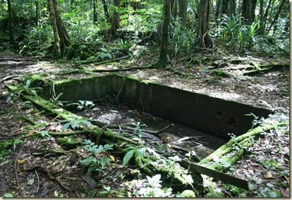 IMG_0814