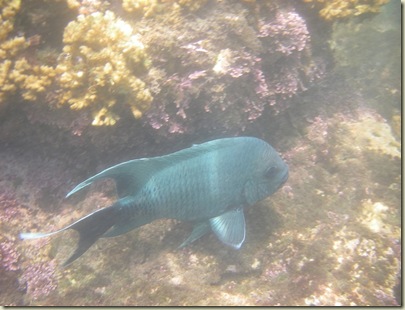 IMGP3205