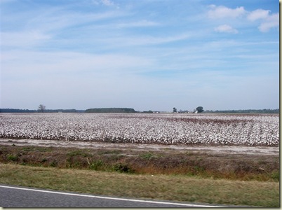 IMGP1039