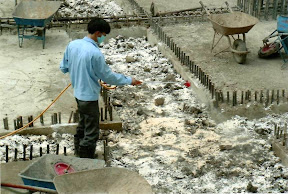 Phòng mối Bảo Tín