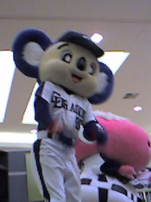 イオンドアラ11