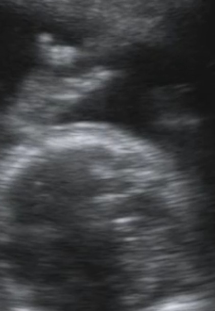 Picture 7.jpg
