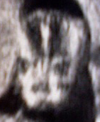 Photo 16.jpg