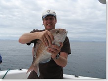 DonSnapper