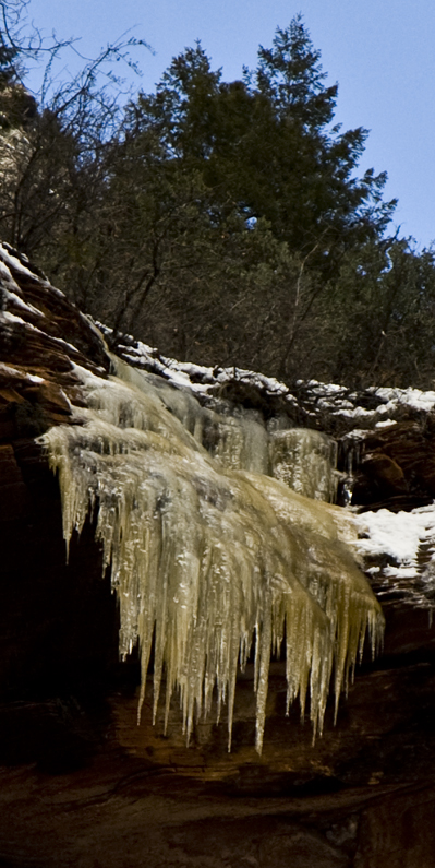 DSC_6864 yellow icicles west fork trail en az.jpg