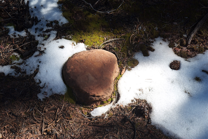 DSC_0013_2--stone in snow en az.jpg