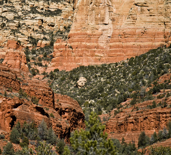DSC_0095 round stone smiling face thompson trail en az.jpg