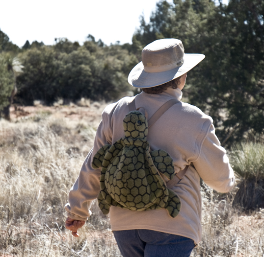 DSC_0016 marty reinstra with her turtle back pack en az.jpg