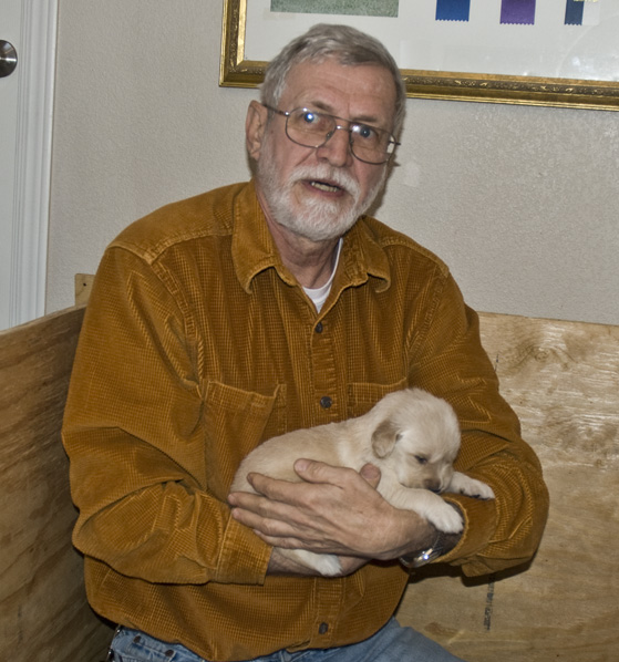 DSC_0073 dave has picked his puppy a male and the largest I call him Cody en az.jpg