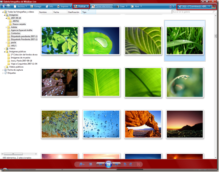 Windows Live Photo Gallery