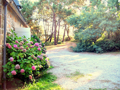 vue cote acces
