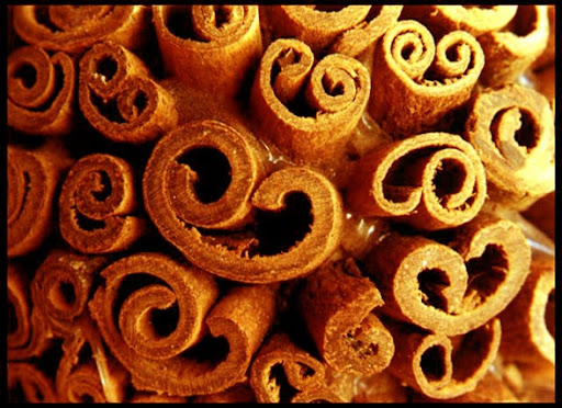 Canela