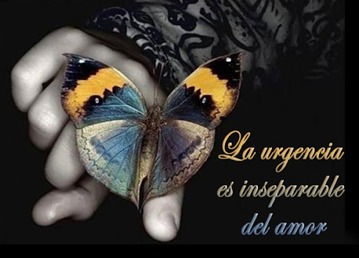 butterfly___by_neosix copia