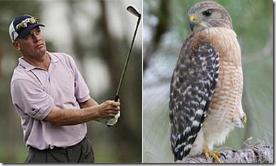 Golfer Tripp Isenhour Kills Hawk Incident